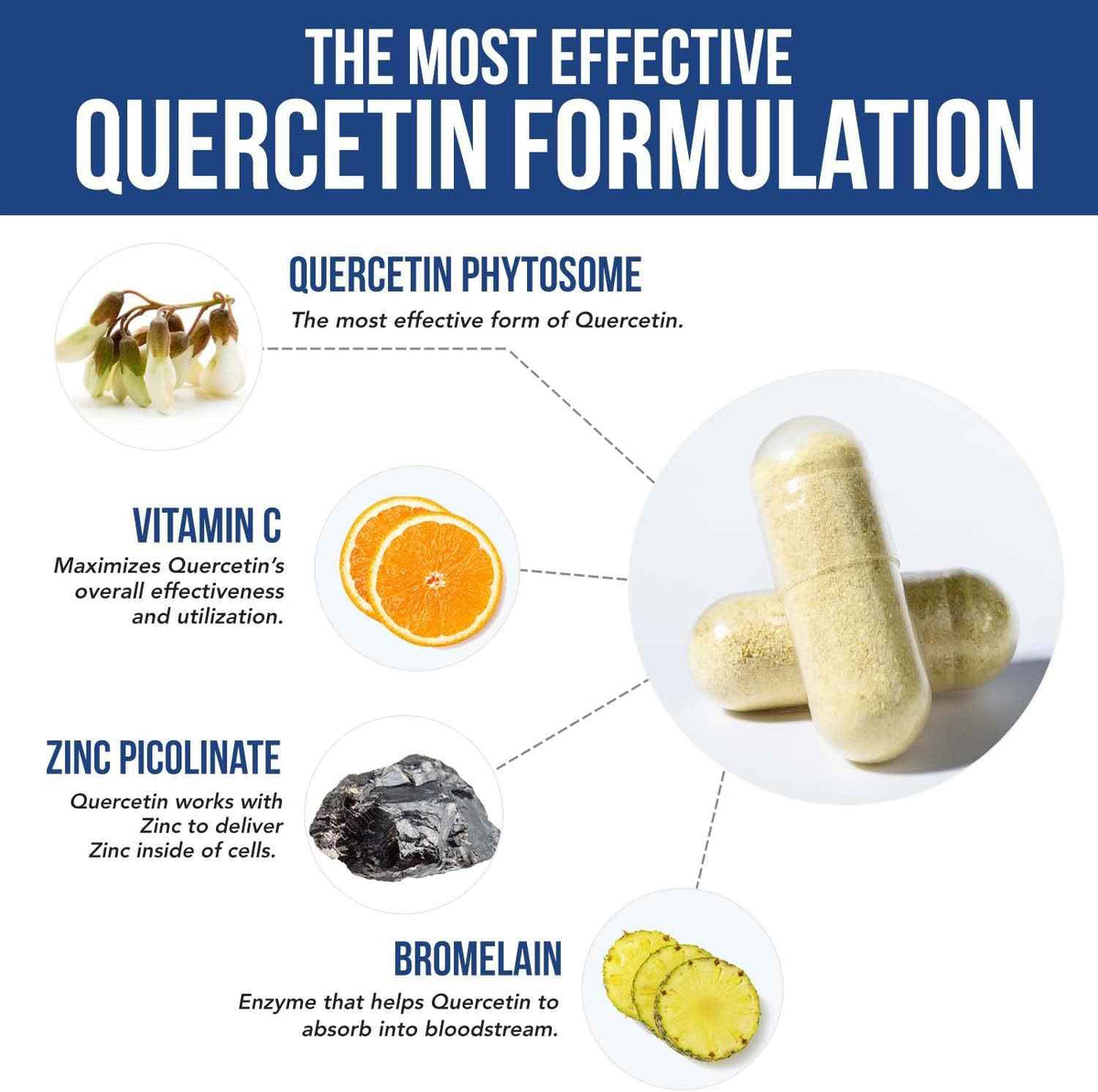 Quercetin Complete Quercetin Phytosome with 50X Higher Absorption - Most Effective Form of Quercetin - Enhanced with Bromelain, Zinc & Vitamin C (60 Capsules)