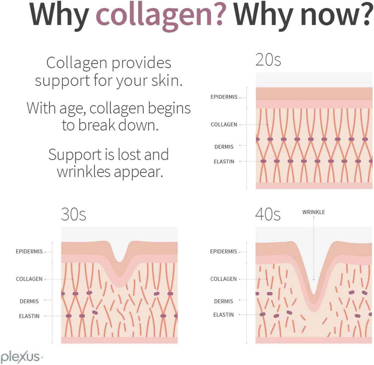 Joyōme Multi-Action Collagen Complex - 5g collagen peptides per serving; neutral powder, mixes into any beverage; dairy-free, gluten-free, non-GMO