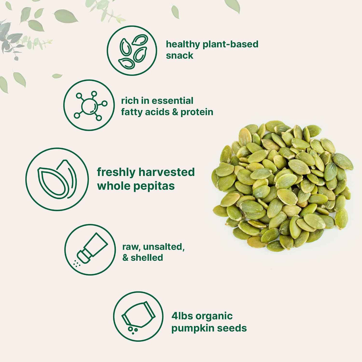Organic Pumpkin Seeds, 4lbs - Raw, Unsalted, & Shelled - Whole Pepitas - Pumpkin Seeds to Eat - Great for Baking, Smoothies, & Salad Toppings - Natural Source of Essential Fatty Acids, Protein, & Iron