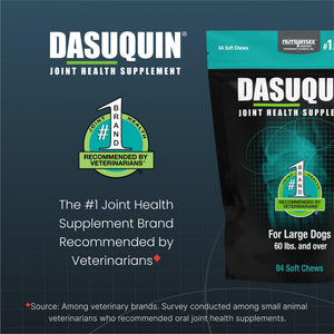 Nutramax Dasuquin for Large Dogs, Joint Health Supplement, Contains Glucosamine for Dogs, Plus Chondroitin, ASU and More, Supports Healthy Joints, Soft Chews, 84 Count Nutramax LaboratoriesBuy Supplements Australia
