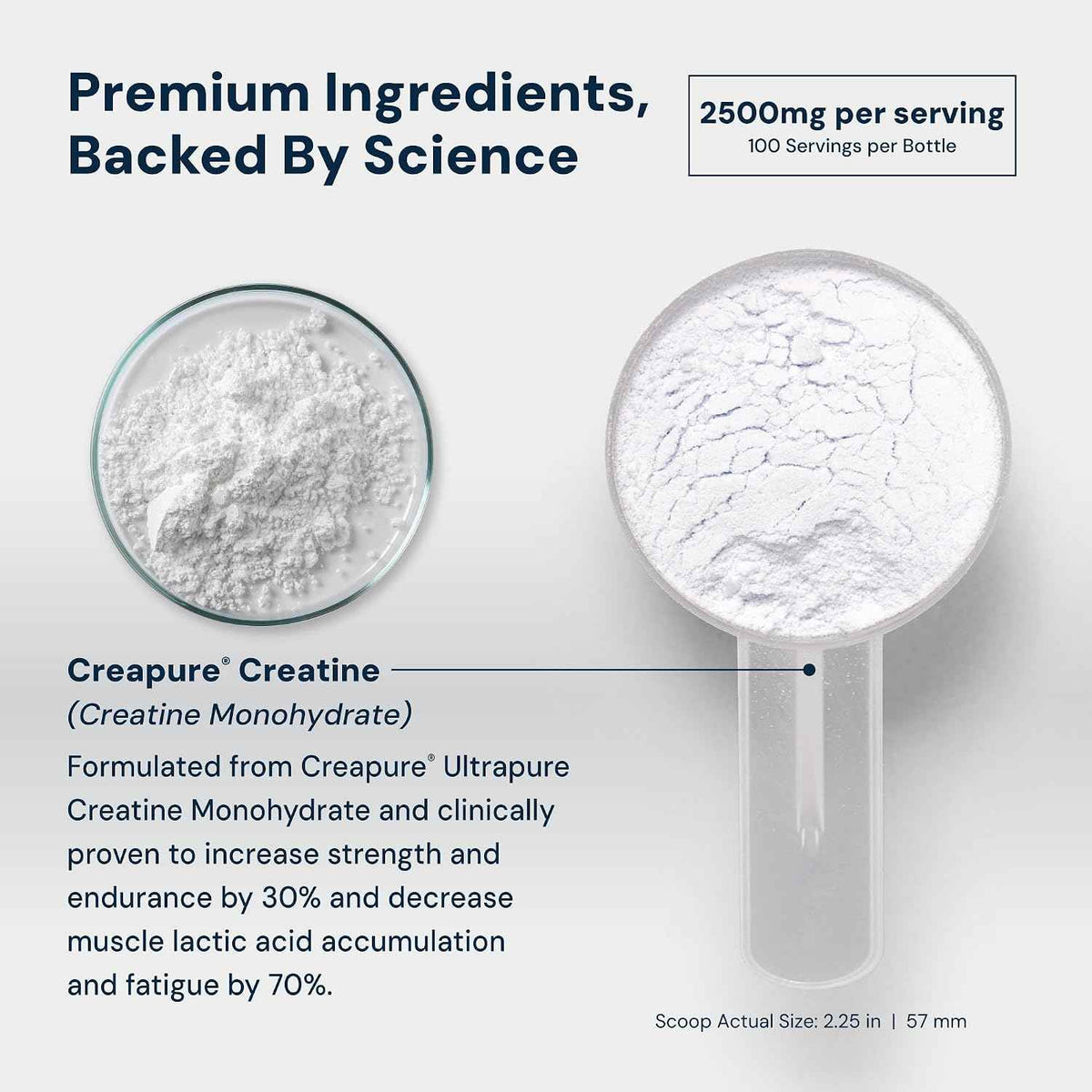 HPN C2 Creapure Creatine for Strength & Recovery, 100 Servings - Ultra-pure Creapure creatine supports strength, performance and recovery; vegan, non-GMO and independently tested.