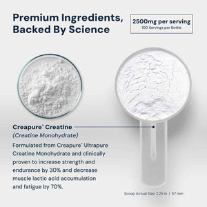 HPN C2 Creapure Creatine for Strength & Recovery, 100 Servings - Ultra-pure Creapure creatine supports strength, performance and recovery; vegan, non-GMO and independently tested.