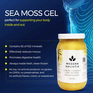 Modern Holistix Original Sea Moss Gel - 32oz Jar - Wildcrafted - All-Natural Superfood for Immunity, Energy & Gut Health