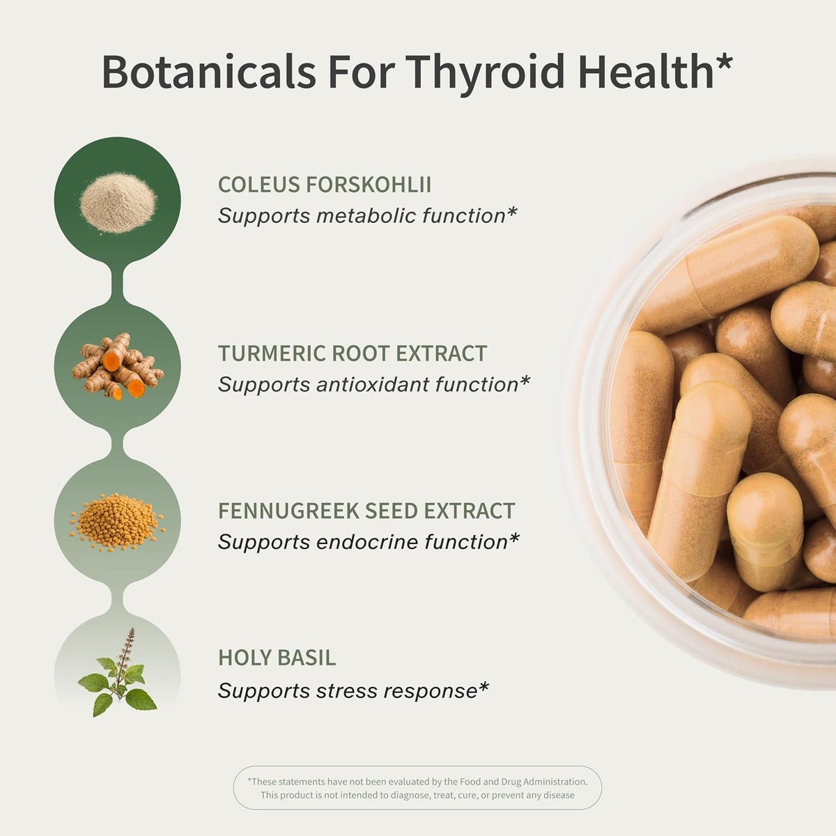 Snap Supplements Thyroid Health, Selenium, Zinc, L-Tyrosine, 60 Capsules - Thyroid Support Supplement for Women & Men, Botanicals for Metabolism, Energy & Endocrine Balance, Iodine-Free, Vegan