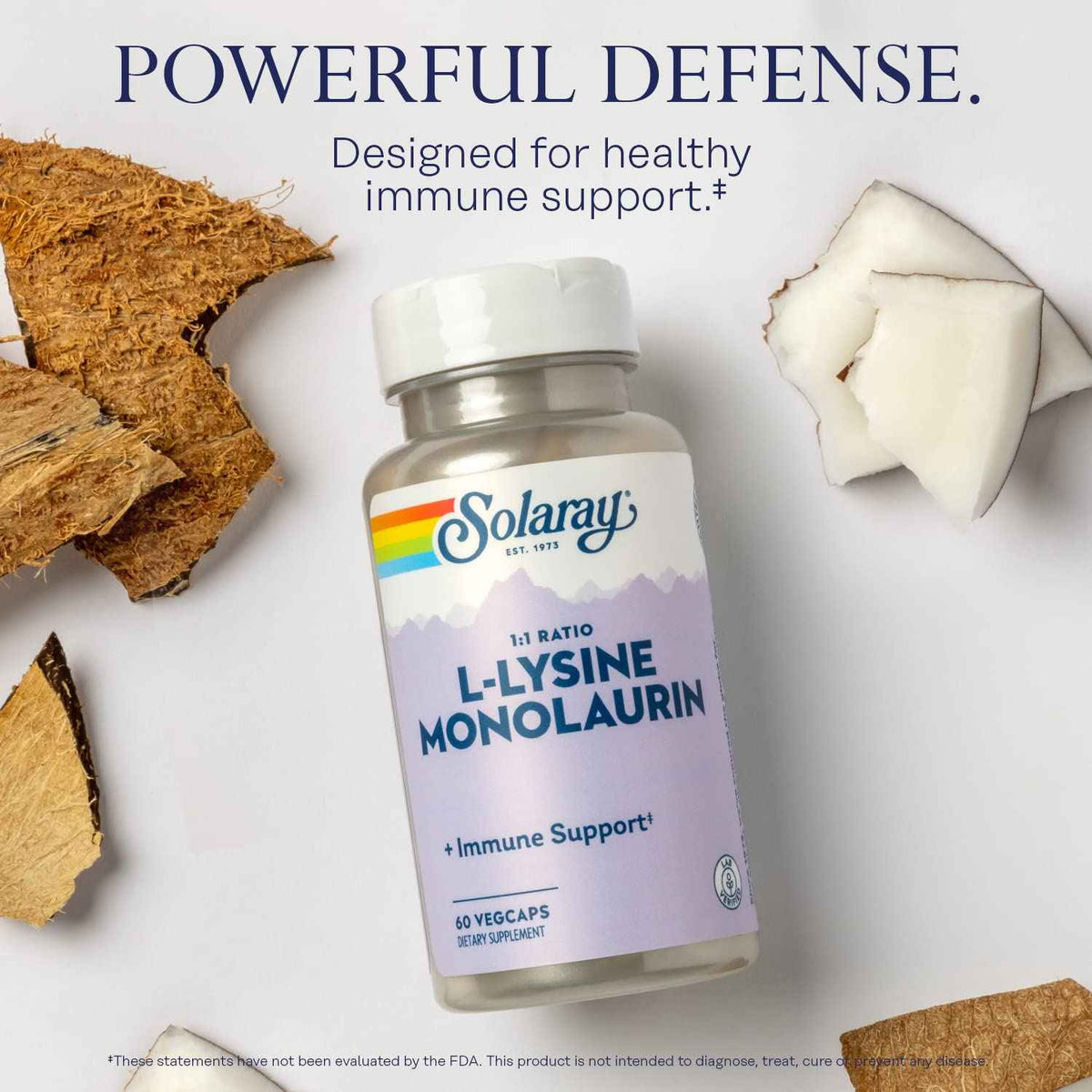 SOLARAY L-Lysine Monolaurin Immune Support Supplement, 1:1 Ratio for Immune System Function, 500 mg Each, 30 Servings, 60 VegCaps