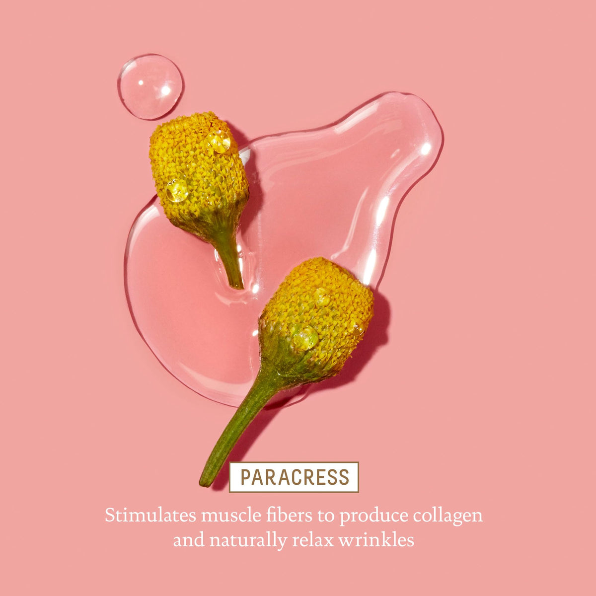 BIOSSANCE Squalane + Marine Algae Eye Cream (0.5 oz)