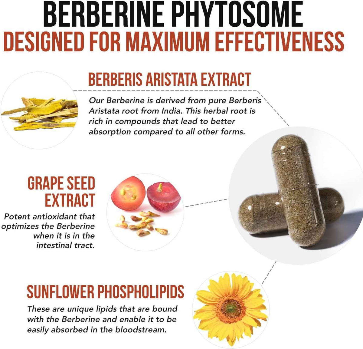 SoActive Berberine 550mg: 9.6X Higher Absorption, Clinically Studied, Optimized Phytosome - Supports Metabolism & AMPK Activation - Non-GMO, Soy-Free - Clinically Validated Dose - 60 Servings