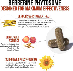 SoActive Berberine 550mg: 9.6X Higher Absorption, Clinically Studied, Optimized Phytosome - Supports Metabolism & AMPK Activation - Non-GMO, Soy-Free - Clinically Validated Dose - 60 Servings