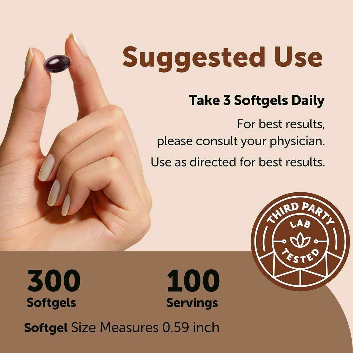 Micro Ingredients Ceylon Cinnamon, 300 Softgels - Cinnamon Supplements with MCT Oil - Non-GMO, Gluten Free - True Ceylon Cinnamon Supplements for Men & Women. Energy & Antioxidant Support*. Non-GMO, Gluten Free