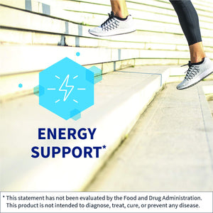 Klaire Labs SFI Health Vitamin B12 Liquid Drops 5mg - Mood & Cognitive Support from 5000mcg Active Coenzyme Methylcobalamin - Hypoallergenic (120 Servings, 4 Fluid Ounces) SFI HealthBuy Supplements Australia