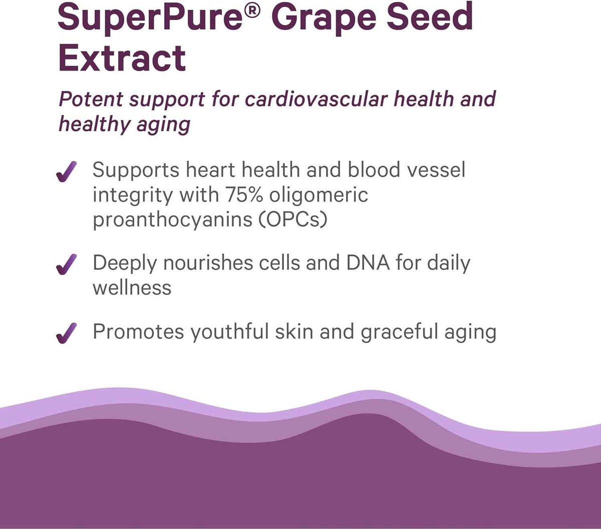 Pure Synergy SuperPure Grape Seed Extract - Organic Grape Seed Polyphenols Supplement with Whole Fruit - for Heart Health, Skin, and Healthy Aging Support (60 Capsules)