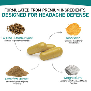 Nature's Nectar Migraine Prevention Feverfew Capsules – PA Free Butterbur Root, Riboflavin 400 mg, Magnesium & Feverfew – Natural Migraine Supplement – 60 Capsules Nature's NectarBuy Supplements Australia