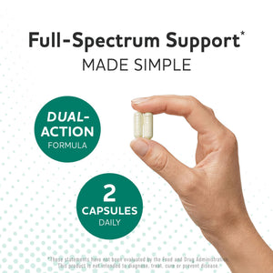Prebiotics and Probiotics | 50 Billion CFU, 16 Probiotic Strains & Inulin Prebiotic Fiber | Delayed Release Capsules | Gut Health Support | Prebiotics and Probiotics for Women & Men | Non-GMO | 60 Ct MAV NUTRITION buy supplements Au