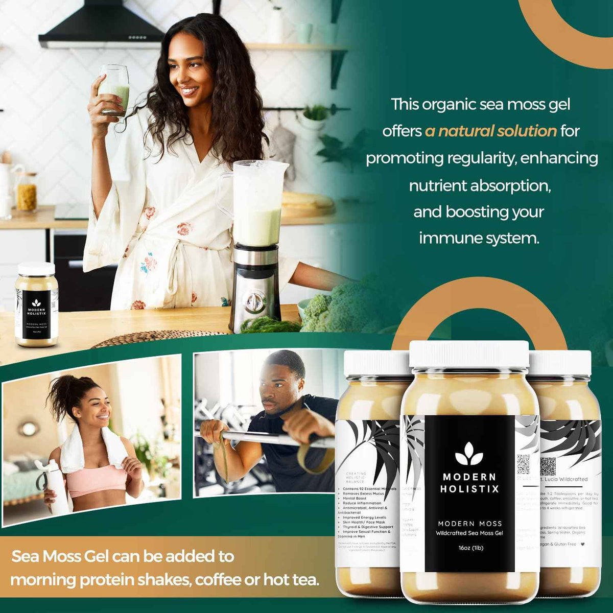 Modern Holistix Original Sea Moss Gel - 32oz Jar - Wildcrafted - All-Natural Superfood for Immunity, Energy & Gut Health