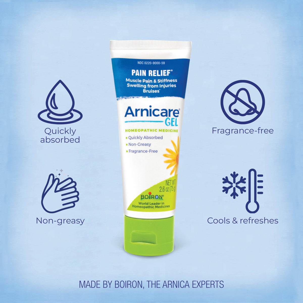 Boiron Arnicare Gel for Relief of Joint Pain, Muscle Pain, Muscle Soreness, and Swelling from Bruises or Injury - Non-greasy and Fragrance-Free - 2.6 oz