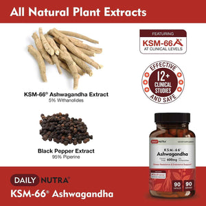 DailyNutra KSM 66 Ashwagandha (90 Capsules) and Mushroom Cacao Mix (16oz) Bundle for Relaxation and Focus