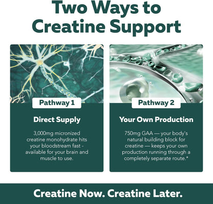 Creatine Reserve - Creatine Monohydrate Plus GAA for Mind, Muscle & Energy Support - Dual Pathway Delivery Creatine Supplement for Women & Men - Active B Vitamins & Taurine, Non-GMO (1 month supply)