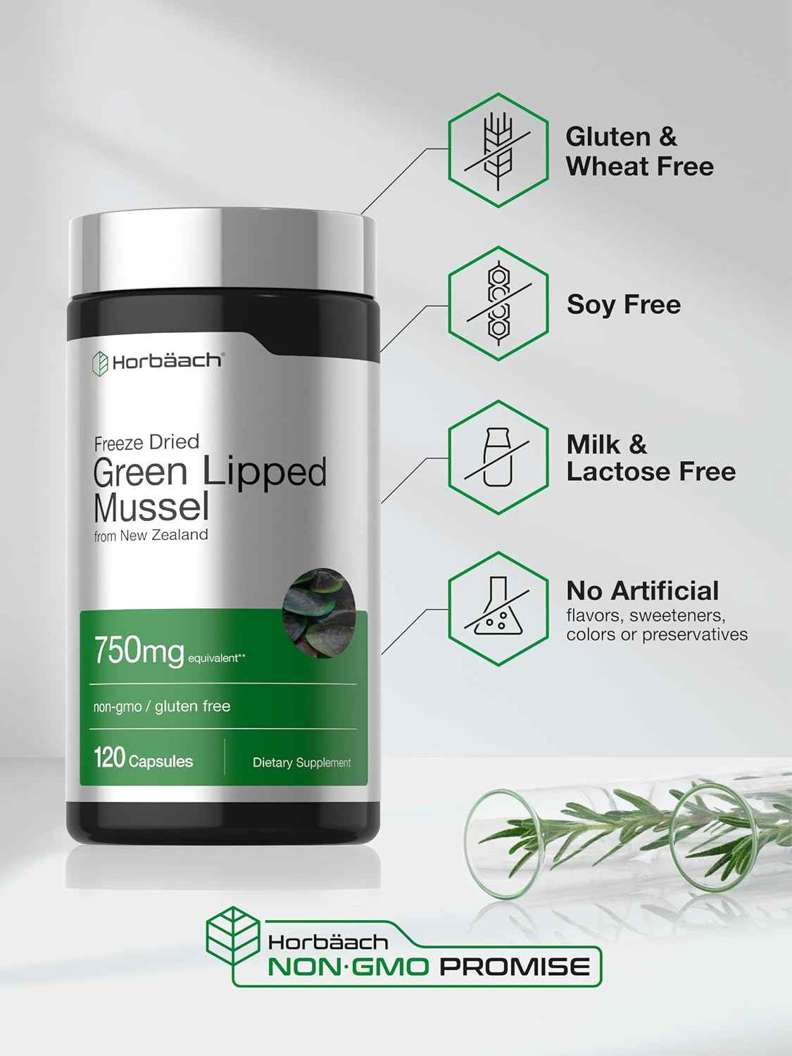 Horbäach Green Lipped Mussel - 120 Capsules - from New Zealand - Premium Freeze Dried Mussel Powder - Non-GMO and Gluten Free