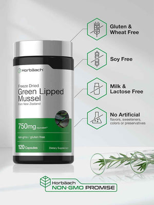 Horbäach Green Lipped Mussel - 120 Capsules - from New Zealand - Premium Freeze Dried Mussel Powder - Non-GMO and Gluten Free