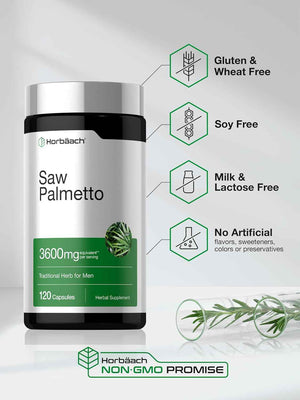 Horbäach Saw Palmetto Extract - 120 Capsules - from Saw Palmetto Berries - Non-GMO and Gluten Free Formula