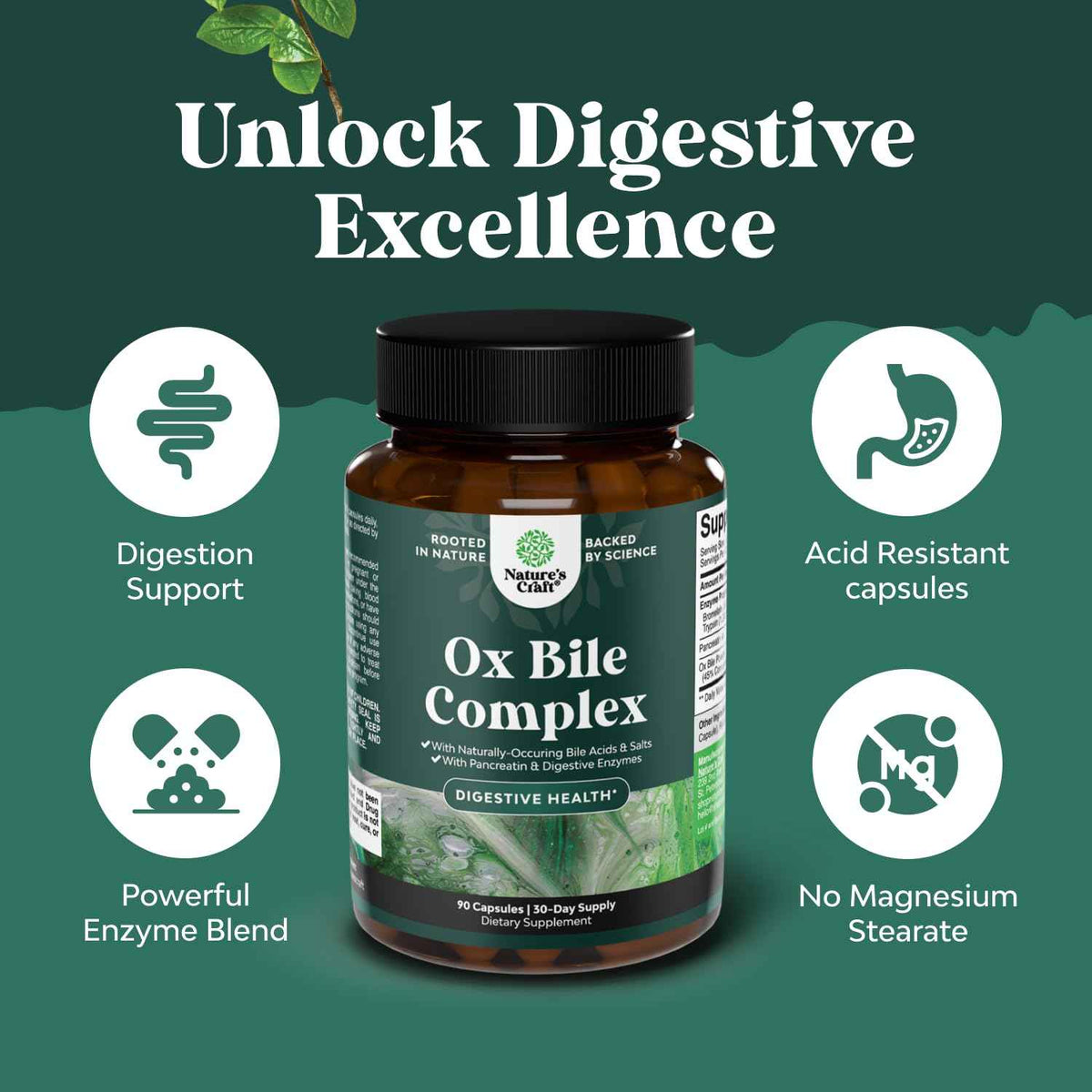 Digestive Enzymes with Ox Bile - Ox Bile Supplements for No Gallbladder with Trypsin, Papain & Bromelain Enzyme for Pancrease Cleanse & Detox - Pancreatin Digestion Enzymes for Women & Men - 90 Ct