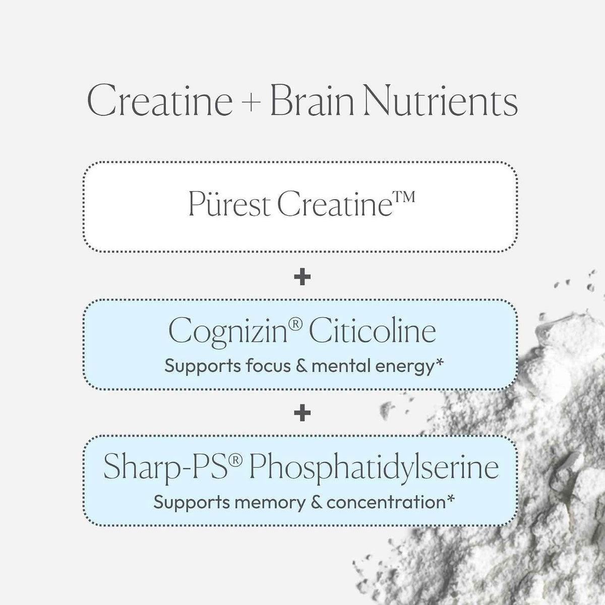 Papillex Creatine Well - Clean Creatine Powder for Brain Energy & Muscle Tone with Cognizin & Sharp - PS