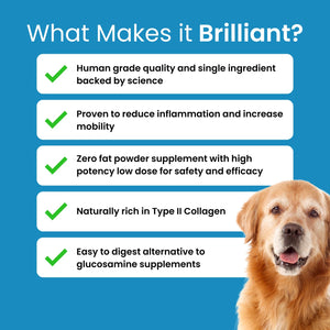 Hofseth BioCare Brilliant Bone & Joint Supplement for Dogs - High Strength Calcium & Collagen Powder for Joint & Hip Support, Essential Supplement for Dog’s of All Ages - 10.6 Oz Hofseth BioCareBuy Supplements Australia