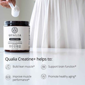 Qualia Creatine | Advanced Creatine Complex | 2 Sources + Magnesium | Optimized Absorption | Muscle Performance, Brain Function, & Healthy Aging (30 Servings)
