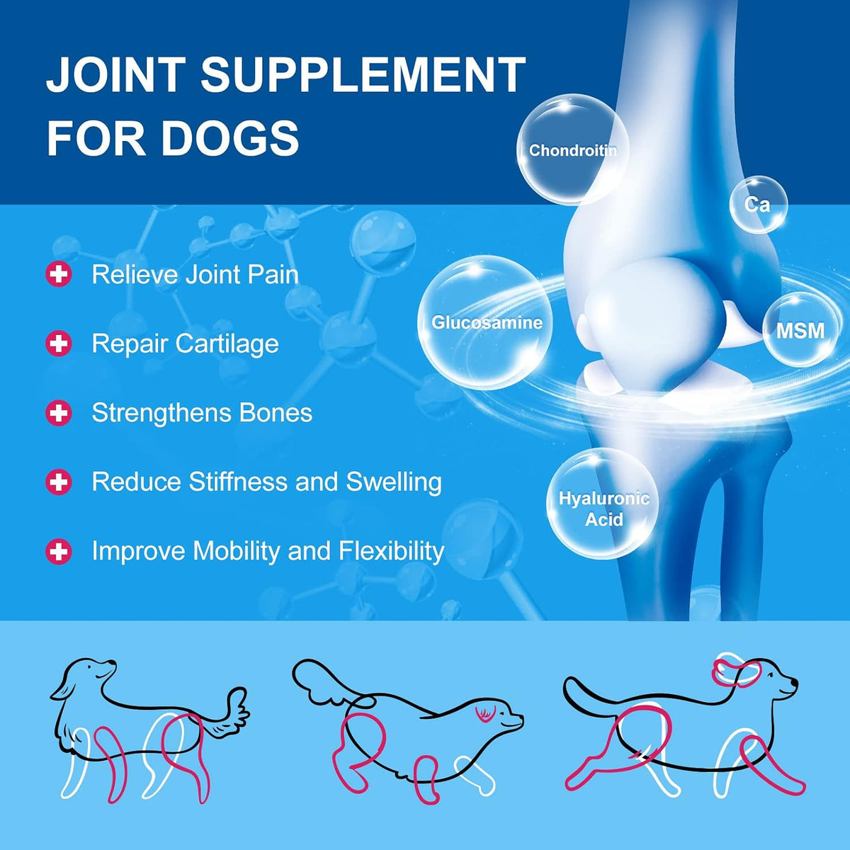 NATURE TARGET Dog Vitamins Powder, Probiotics & Digestive Enzymes for Gut Health, Glucosamine & Chondroitin & Omega 3, Complete Supplement for Homemade Dog Food, Joint & Skin & Immune Support - Probiotics & Digestive Enzymes for Gut Health, Glucosamine &
