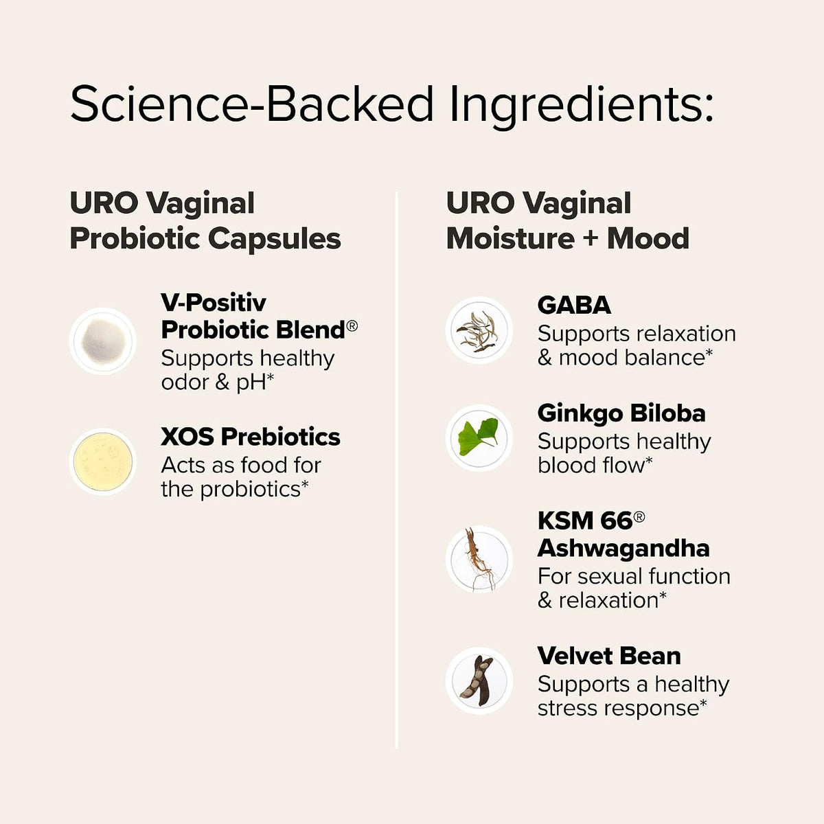 O Positiv URO Wet & Wild Bundle - Vaginal Probiotic & Moisture + Mood