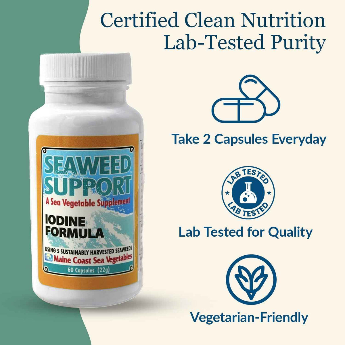 Maine Coast Sea Vegetables Seaweed Support Iodine Formula - Source of Iodine from Seaweed - Daily Use Iodine Supplement - Organic Alaria, Rockweed, Sea Lettuce, Dulse & Bladderwrack blend - 60 Capsule