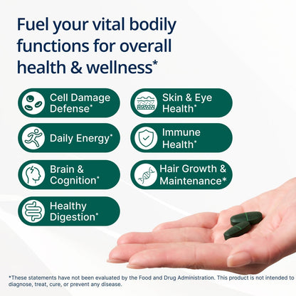 Metagenics PhytoMulti with Iron - Daily Multivitamin for Men & Women with Phytonutrients* - Methylfolate, Vitamins A‑K, Zinc & B6 - Iron Bisglycinate 18 mg - Non‑GMO, Gluten‑Free - 60 Tablets