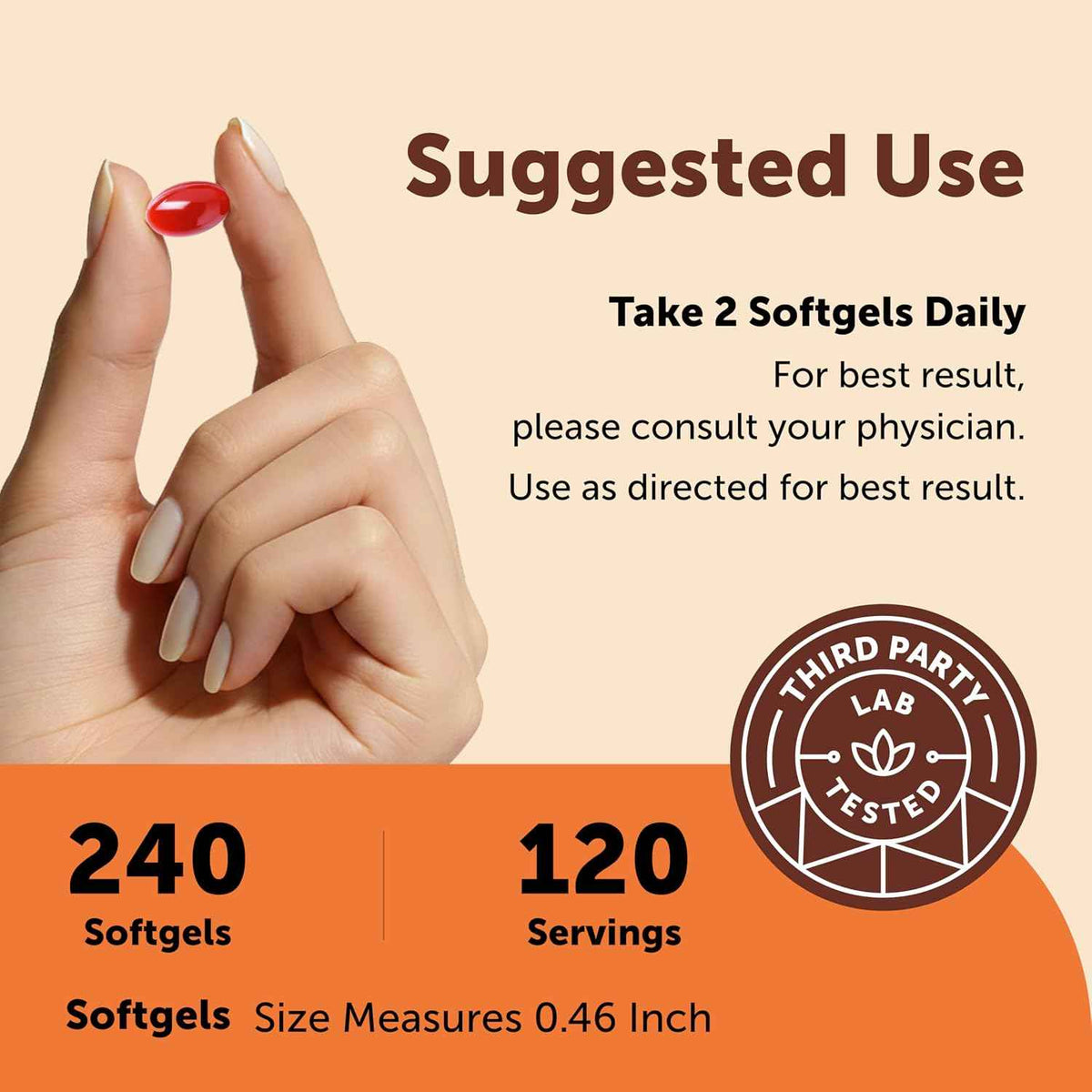 Micro Ingredients CoQ10 100 mg Per Serving, 240 Softgels - Coenzyme Q10 (Ubiquinone) Supplement - Made with MCT Oil - Non-GMO, Gluten Free