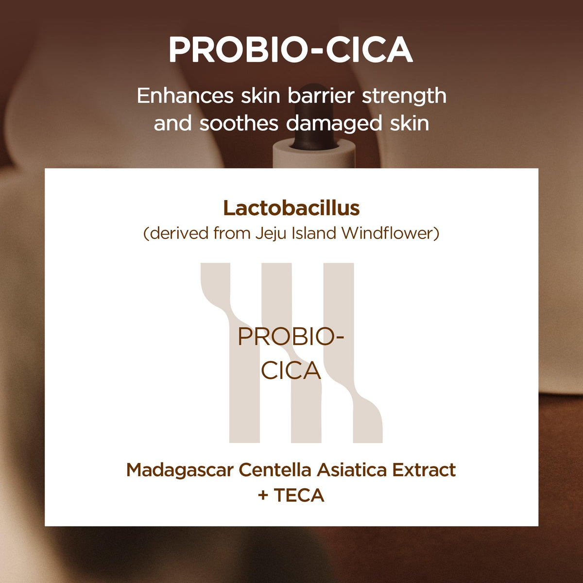 SKIN1004 Probio Cica Intensive Ampoule, Centella Serum for Face with Ceramide, Facial Serum for Nourishing & Soothing, Centella Ampoule for Skin Barrier Support, Korean Skin Care, 1.69fl.oz / 50ml