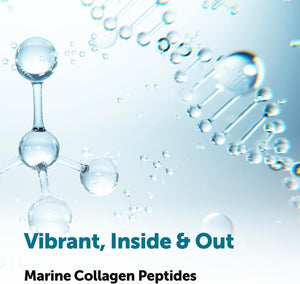 Micro Ingredients Marine Collagen Protein Powder, 1 Pound - Wild Caught Fish Source - Hydrolyzed Peptides - Unflavored, Keto, & Paleo Friendly - Easy to Mix, Non-GMO