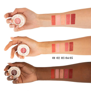 Paul & Joe Gel Blush, Bright and Buildable Blush Makeup, Water-Based Gel Makeup Blush with Hydrating Oils for Dewy, Radiant Finish, Garnet and Wine Red Cheek Tint, 05 Sommeliere, 0.71 oz Paul & JoeBuy Supplements Australia