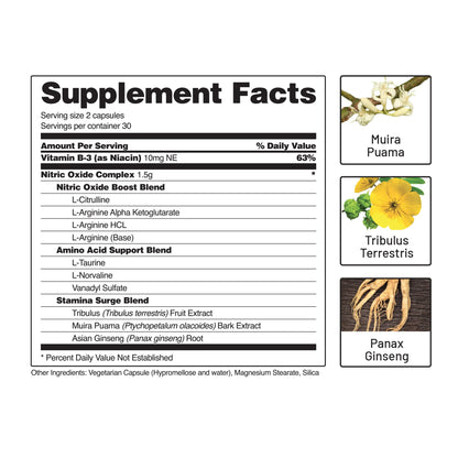 Snap Supplements Nitric Oxide Booster, Nitric Oxide Supplement for Blood Circulation