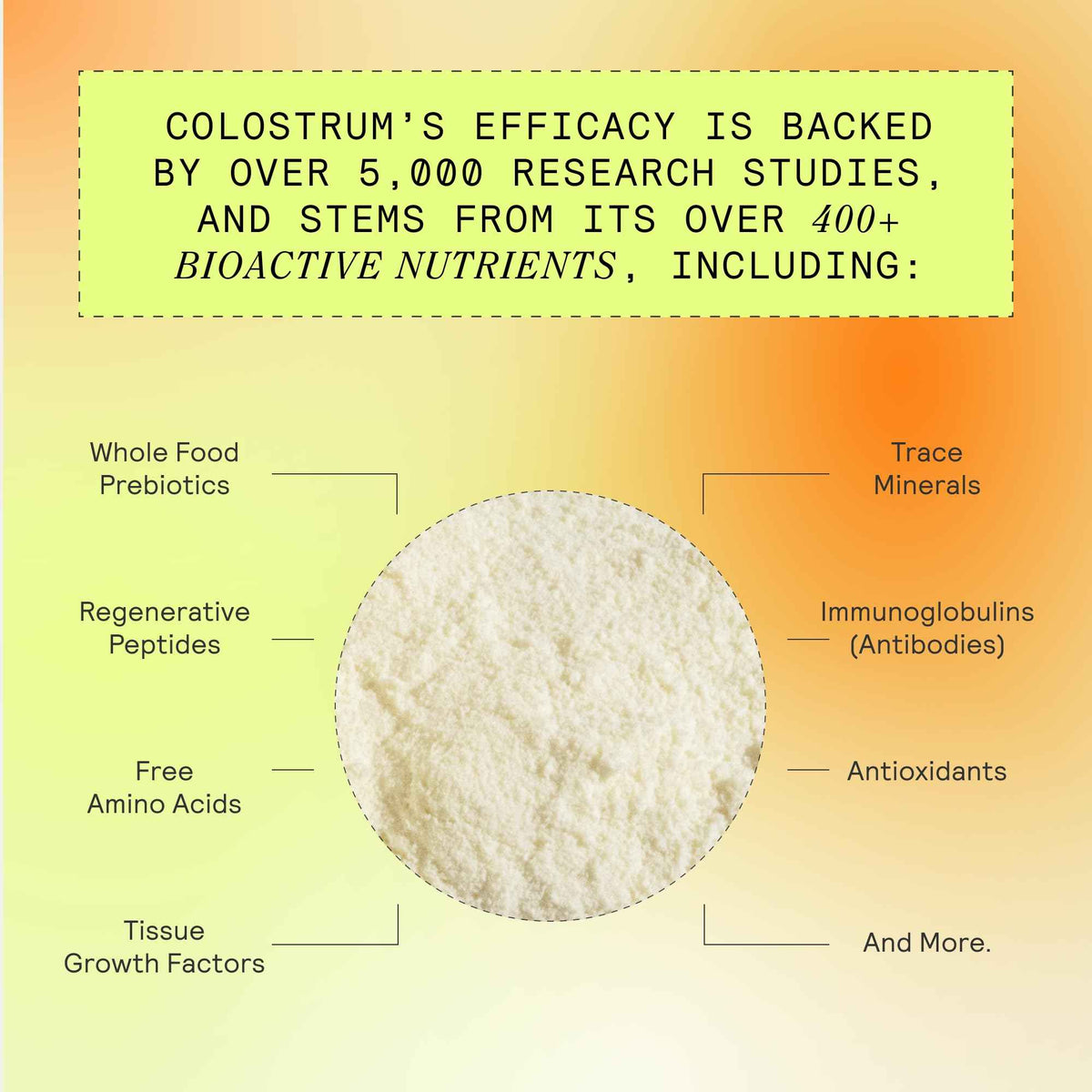 ARMRA Colostrum Powder - Vine Watermelon - Gut Health & Bloating - Skin & Hair - Immunity - Keto, Gluten & Fat-Free - 30 Servings