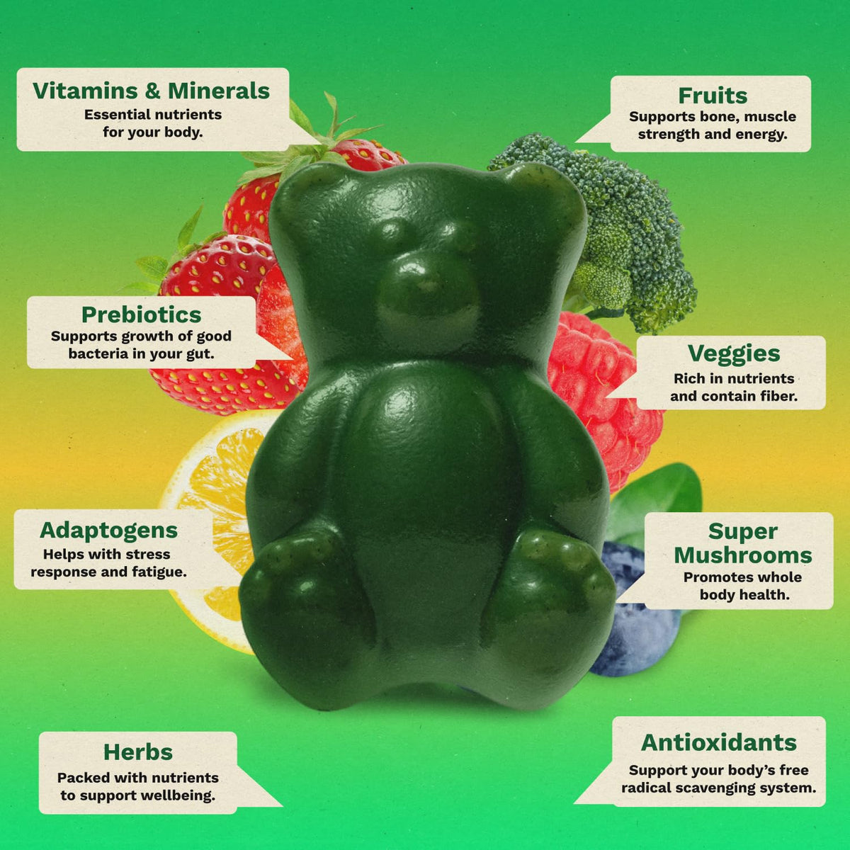 Adult Greens Gummies Sugar Free Multivitamin & Prebiotic Fiber, 10 ct