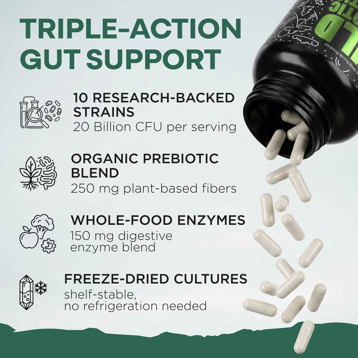 Wild Prebiotics and Probiotics with Digestive Enzymes - 20 Billion CFU - 10 Strains for Women & Men - Support Gut Health & Digestion Supplements - Non-GMO Prebiotic Fiber - 30 Count (Pack of 2)