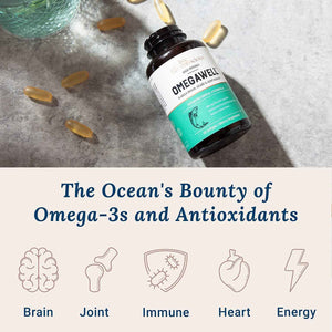 Live Conscious OmegaWell Fish Oil & MagWell Magnesium Zinc & Vitamin D3 - Bone & Heart Health, Immune System Support + Heart, Brain & Joint Support