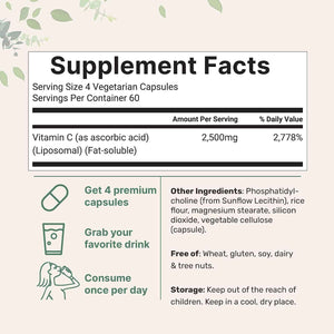Liposomal Vitamin C 2,500mg, 240 Veggie Capsules - Highly Bioavailable Fat Soluble Form - Immune Support & Antioxidant Supplement - Liposomal Delivery for Superior Absorption - Non-GMO, Gluten Free