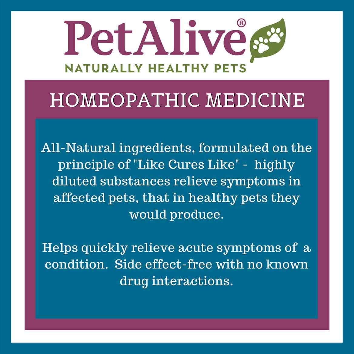 PetAlive Muscle and Joint Support-M - Natural Homeopathic Formula for Joint Pain and Stiffness in Pets - Supports Joint Health and Movement in Dogs and Cats - 59 mL