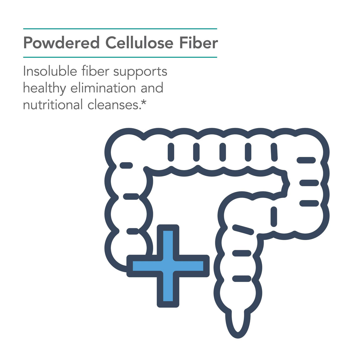Nutricology Dietary Fiber Cellulose Powder - 250 g Insoluble Non-Fermentable Fiber - Microcrystalline Cellulose Supplement - Digestion & Bowel Motility Support - 125 Servings - 250 g