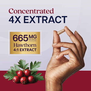 Hawthorn Berry Supplement, 5 Month Supply, Powerful 4:1 Hawthorn Extract - High Strength Hawthorne Berries, Cardiovascular Health Support, Hawthorne Berry Supplement, Vegan & Non-GMO, 150 Capsules