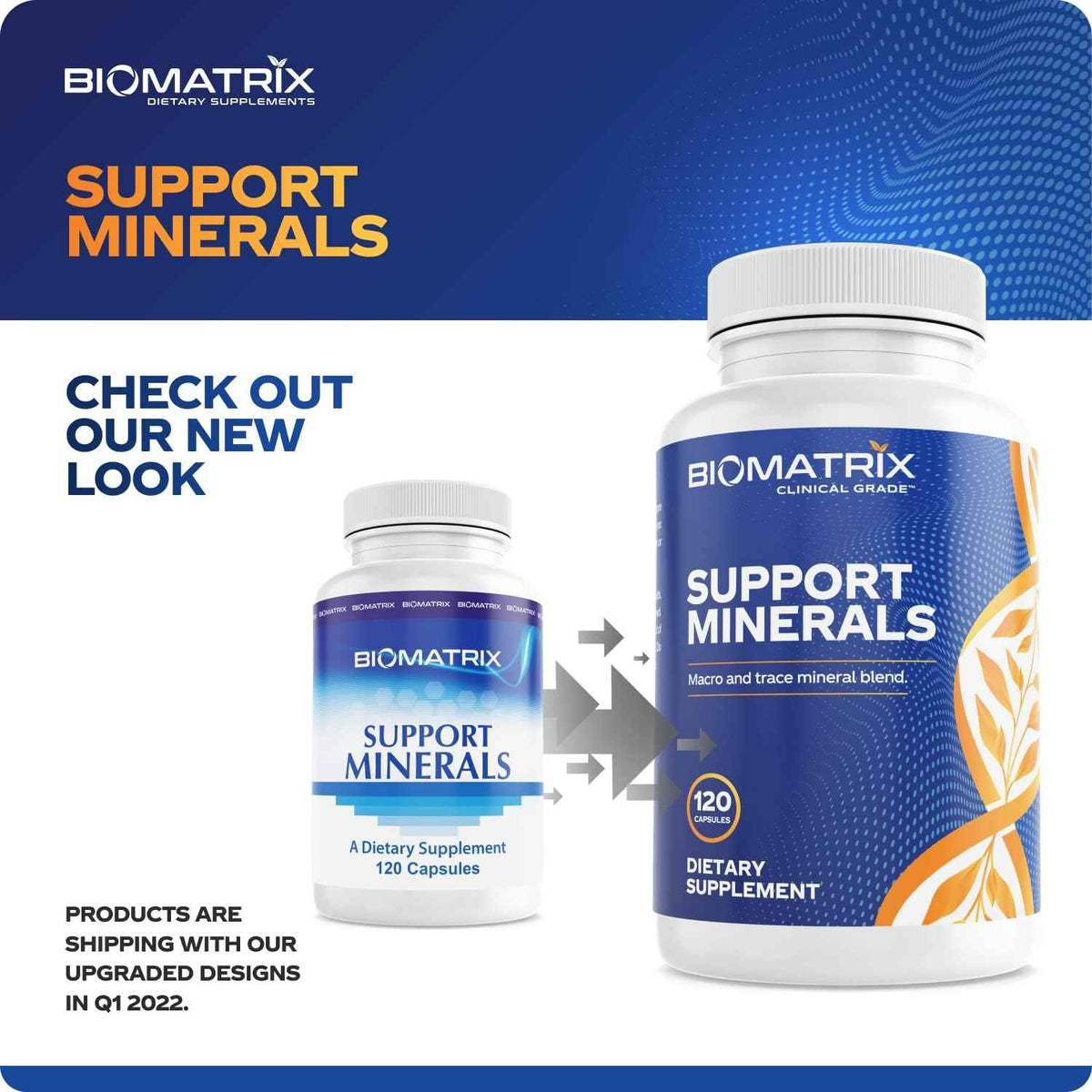 BioMatrix Chelated Mineral Supplement, Iron-Free, Calcium, Magnesium, Zinc - Albion Forms, Vitamin D3, Copper & Iodine, Bone Strength & Immune Aid, Krebs Cycle Energy, Veggie Caps, 30-Day Supply