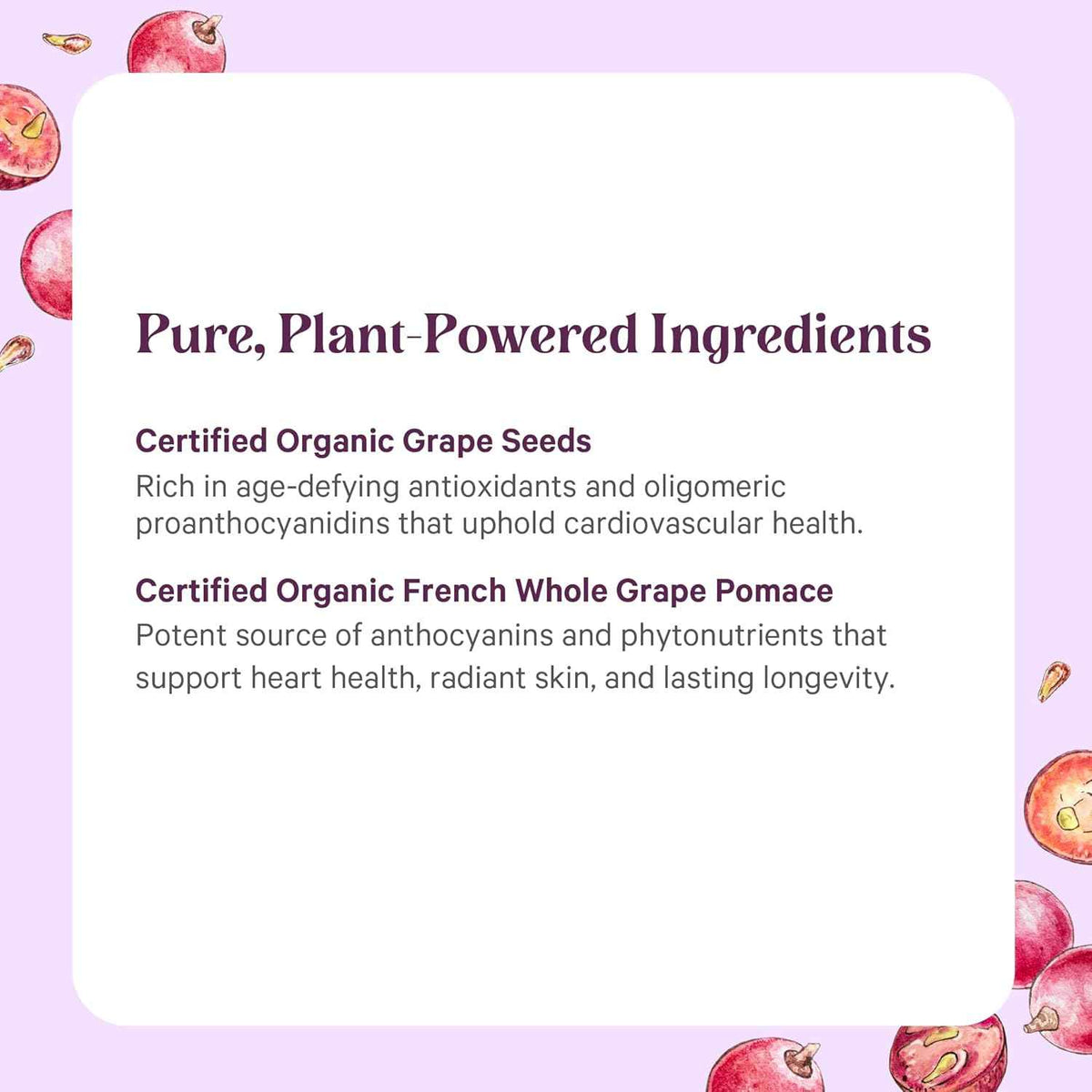 Pure Synergy SuperPure Grape Seed Extract - Organic Grape Seed Polyphenols Supplement with Whole Fruit - for Heart Health, Skin, and Healthy Aging Support (60 Capsules)