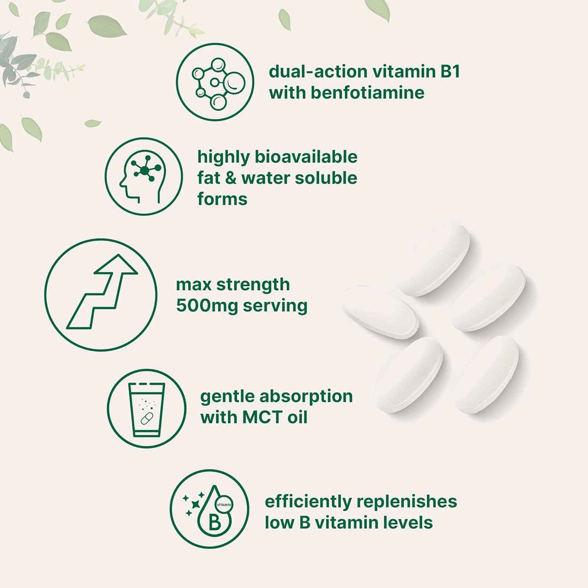 Micro Ingredients Vitamin B1 Thiamine 500mg with Benfotiamine & MCT Oil, 240 Softgels - Highly Bioavailable Thiamine Supplement for Energy & Nervous System Support* - Non-GMO, Soy Free