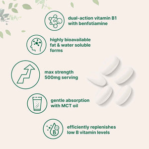 Micro Ingredients Vitamin B1 Thiamine 500mg with Benfotiamine & MCT Oil, 240 Softgels - Highly Bioavailable Thiamine Supplement for Energy & Nervous System Support* - Non-GMO, Soy Free