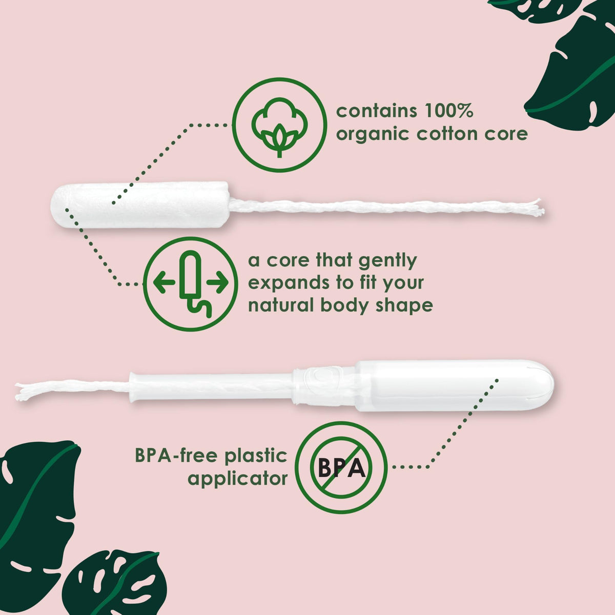 L. Organic Cotton Tampons - Regular 42 Count x 2 Packs (84 Count Total) (Packaging May Vary)